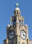 FZ024051 Royal Liver Building, Liverpool.jpg